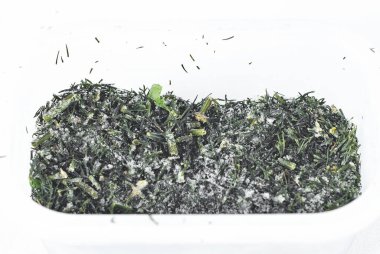 Dilimlenmiş donmuş dereotunun dokusu. Beyaz arka planda bir yığın dereotu.