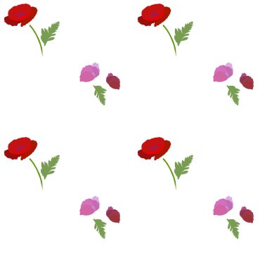 Beyaz arka plan üzerinde haşhaş ile sorunsuz çiçek desenli.