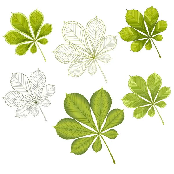 Kolorowa mozaika Kasztanowiec liści. na białym tle. łatwe do modyfikacji. Ilustracja Stockowa