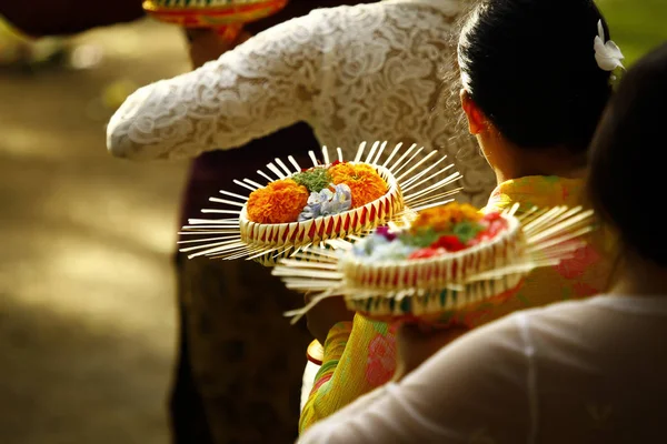 ประเพณีบาหลีในอุบูด — ภาพถ่ายสต็อก
