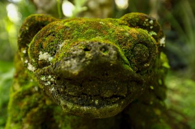 Bahçelerin süsleri Bali, Endonezya