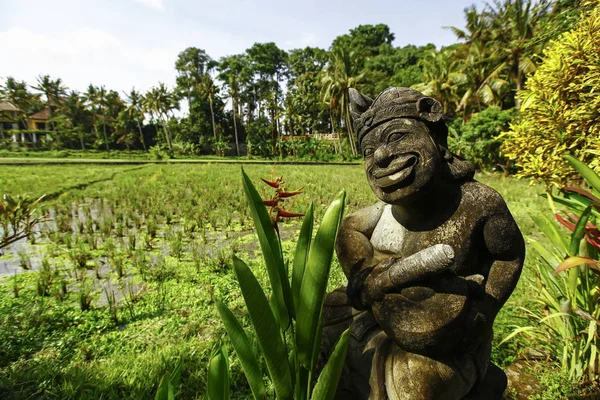 Dekorace zahrady v Bali, Indonésie — Stock fotografie
