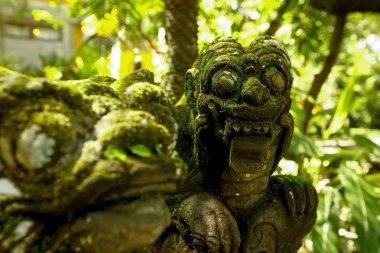 Bahçelerin süsleri Bali, Endonezya