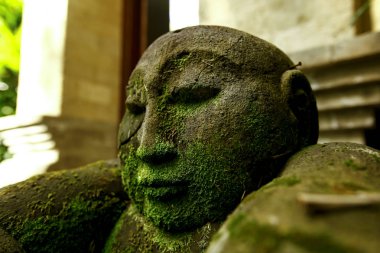 Bahçelerin süsleri Bali, Endonezya