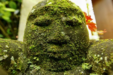 Bahçelerin süsleri Bali, Endonezya