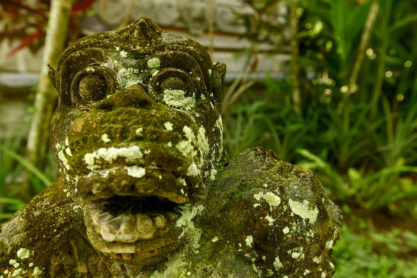 Bahçelerin süsleri Bali, Endonezya — Stok fotoğraf