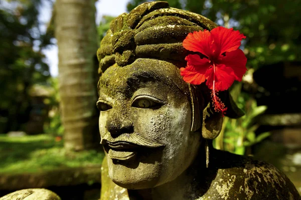 Bahçelerin süsleri Bali, Endonezya — Stok fotoğraf