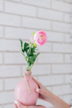 Kız beyaz manikür eller pembe vazo içinde pembe Gül ile tutar.