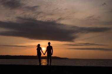 Bir Günbatımının Önündeki Siluet