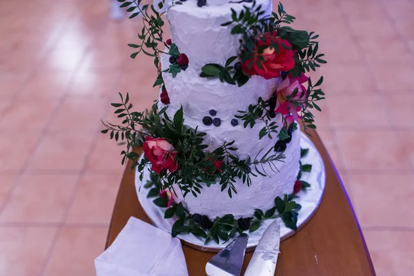 Hermosa Torta Boda Blanca Cuatro Niveles Con Flores Rosadas Vegetación —  Fotos de Stock