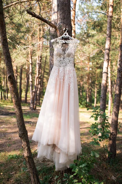 Robe Mariée Rose Sur Cintre Sur Arbre Dans Forêt Belle — Photo