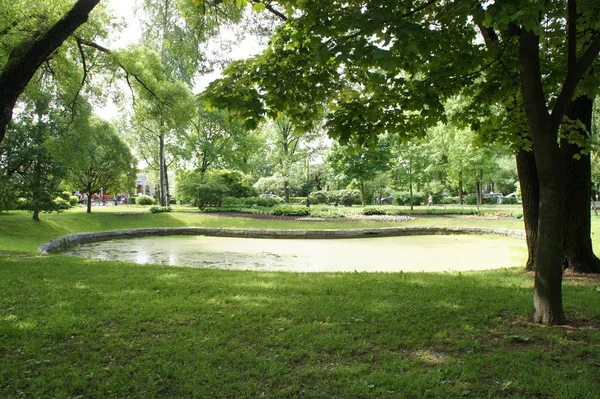 Petit Lac Dans Parc Parmi Les Arbres Végétation Été — Photo