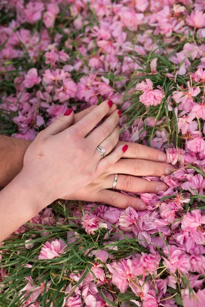 Mãos Noiva Noivo Com Anéis Noivado Estão Pétalas Sakura — Fotografia de Stock