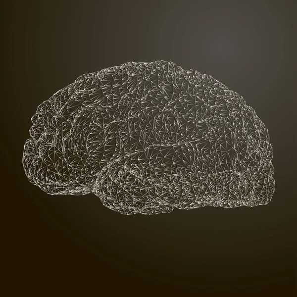 Ilustración vectorial estilizada del cerebro. Imagen conceptual del pensamiento . — Vector de stock