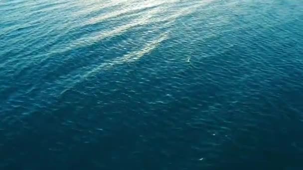 Flygfoto över lugna havet ytbehandlar — Stockvideo
