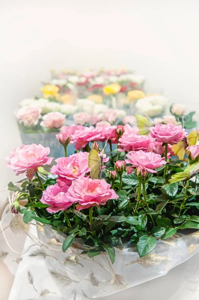 Multi-colored roses in the store are sold as a gift in a package. The farmer\'s market.