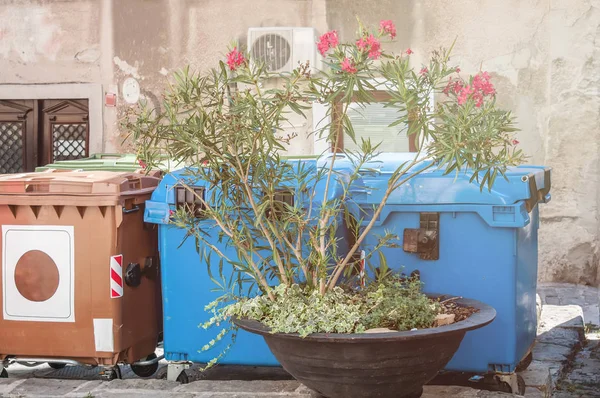 Containers for separate collection of garbage in the yard. The concept of recycling and waste disposal in European cities.