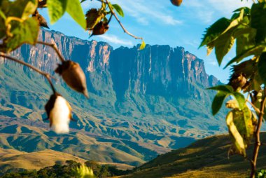 Roraima Tepui, Gran Sabana, Venezuela görünümünü
