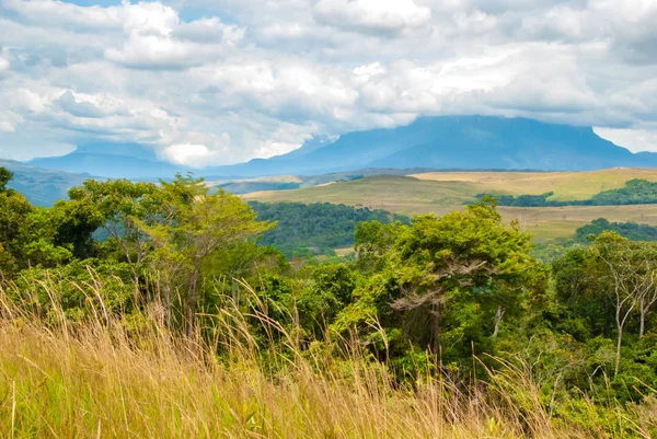 View of Roraima Tepui and Kukenan Tepui, Gran Sabana, Venezuela — Stock Photo, Image