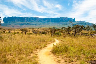 Roraima Tepui, Gran Sabana, Venezuela görünümünü