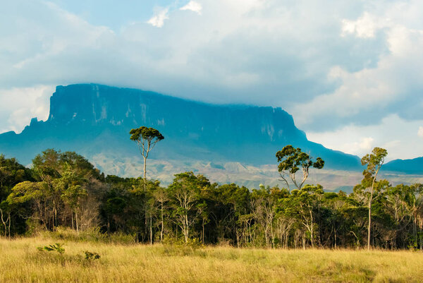 View of Kukenan Tepui, Gran Sabana, Venezuela