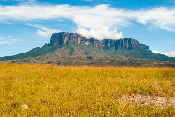 Kukenan Tepui, Gran Sabana, Venezuela — Stock Fotó