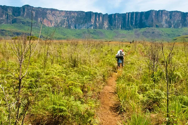 Roraima Tepui, Gran Sabana, Venezuela — Stock Photo, Image