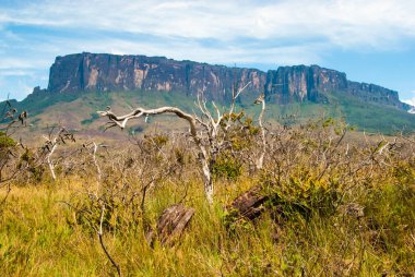 Roraima Tepui, Gran Sabana, Venezuela