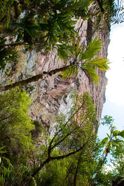 Roraima Tepui, Gran Sabana, Venezuela