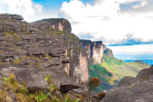 Roraima Tepui Summit, Gran Sabana, Venezuela