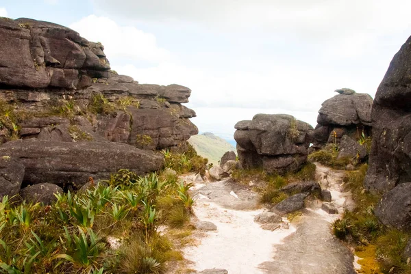 Roraima Tepui Summit, Gran Sabana, Venezuela — Stock Photo, Image