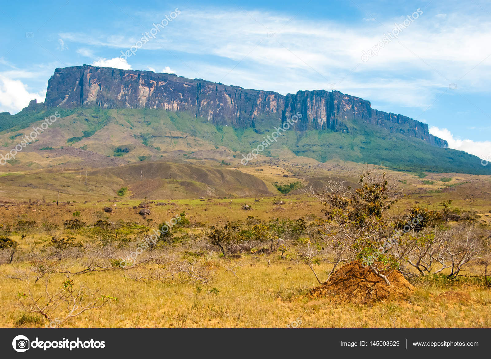 Gran top sabana tepui
