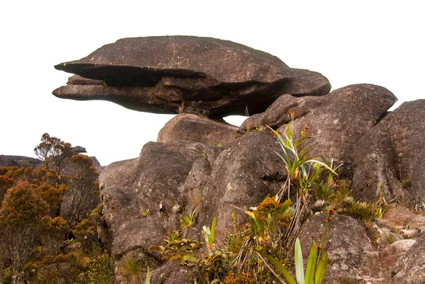 Roraima Tepui Summit, Gran Sabana, Venezuela