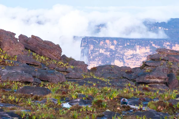 Roraima Tepui Summit, Gran Sabana, Venezuela — стокове фото