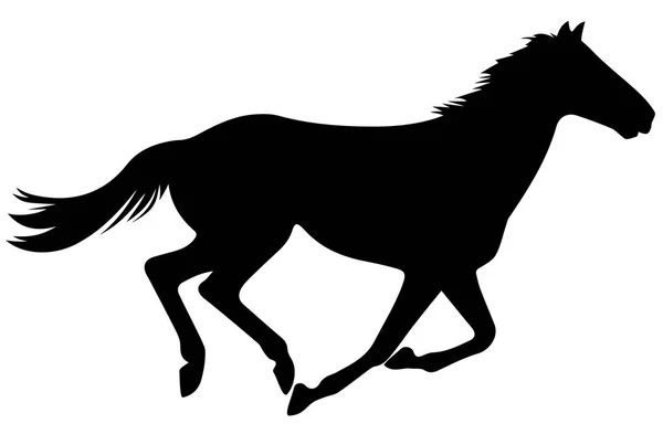 El caballo de cría silueta vector fino negro sobre blanco. Eps 10 ilustración vectorial — Vector de stock