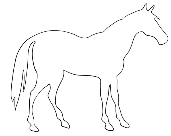 Élevage silhouette vectorielle fine cheval - noir sur blanc. Illustration vectorielle Eps 10 — Image vectorielle