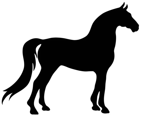 Steigerend paard fijn vector silhouette - zwart op wit. EPS-10 vectorillustratie — Stockvector