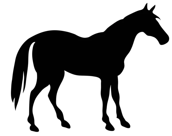 Steigerend paard fijn vector silhouette - zwart op wit. EPS-10 vectorillustratie — Stockvector