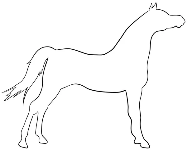 Hodowla konia sylwetka wektor grzywny - czarno na białym. Ilustracja wektorowa EPS 10 — Wektor stockowy