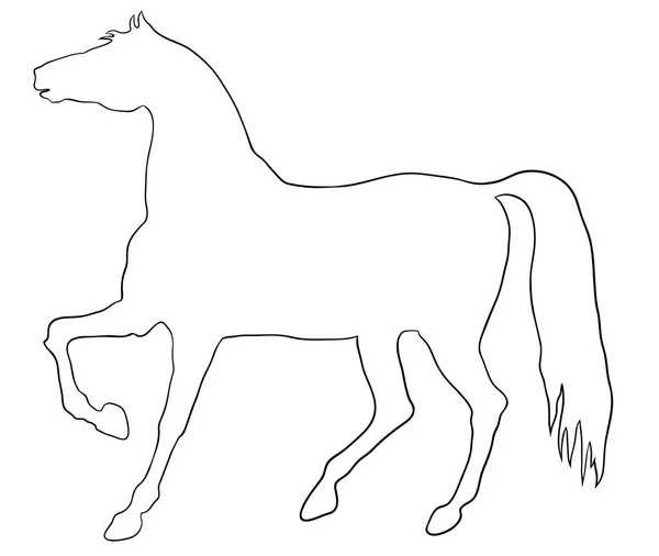 Tartási ló finom vektor silhouette - fekete-fehér felett. EPS 10 vektoros illusztráció — Stock Vector
