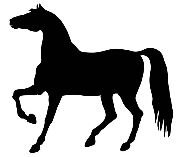 Тонкий векторный силуэт лошади - черный над белым. Векторная иллюстрация Eps 10 — стоковый вектор