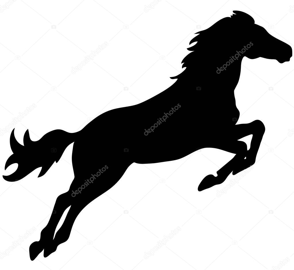 Rearing horse fine vector silhouette - black over white. Eps 10 vector illustration