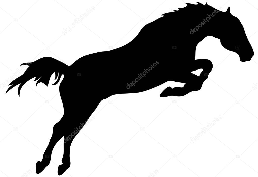 Rearing horse fine vector silhouette - black over white. Eps 10 vector illustration