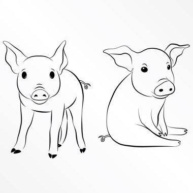 Domuz, domuz yavrusu, domuz, domuz, domuz. EPS 10 vektör çizim