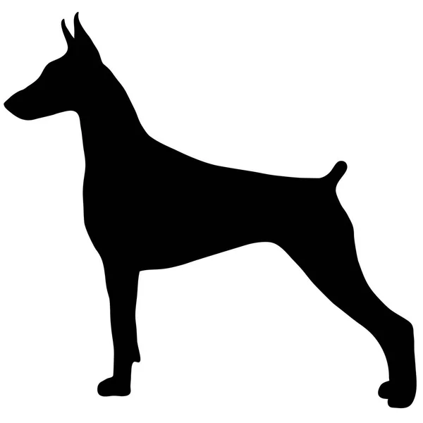Pies. Contour.Cute wektor pies, farbowanie, izolowana na białym tle. Ilustracja wektorowa EPS 10 — Wektor stockowy