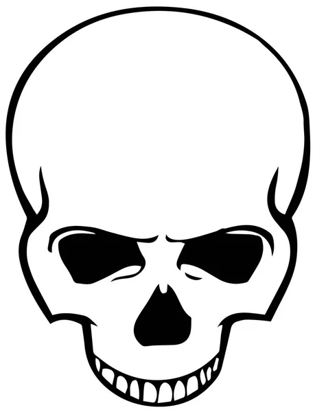 "Collection Of Hand Drawn Skulls In Monochrome". Векторные черепа. Векторная иллюстрация Eps 10 Векторная Графика