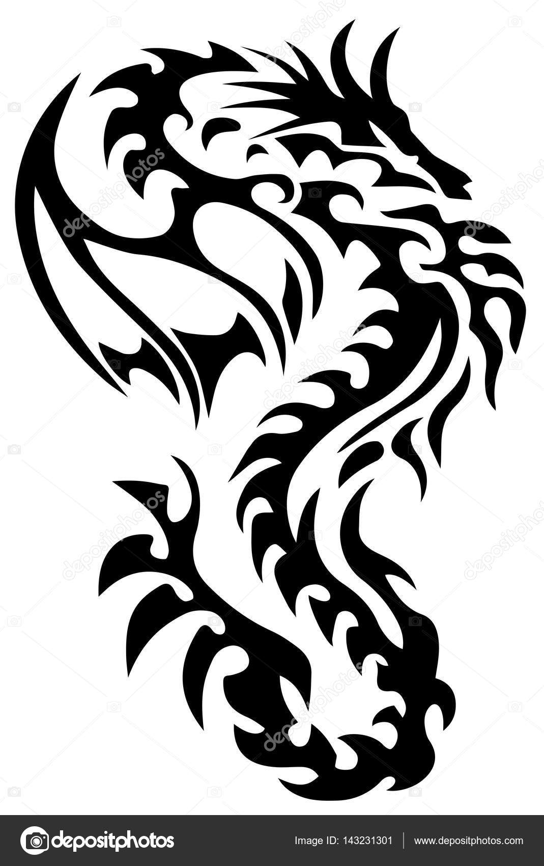 Dragon Tattoo Tribal Dragon Black And White Dragon Tattoo Eps 10 Vector Illustration Stock Vector Image By C Littleblackhorse 143231301