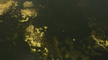 Güzel sahne dron vurdu