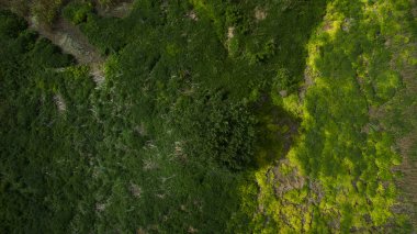 Güzel sahne dron vurdu