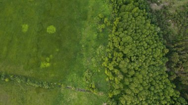 Güzel sahne dron vurdu
